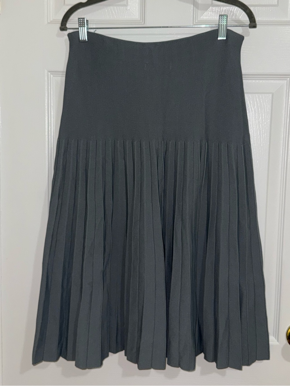 Pleated A-Line Women's Skirt